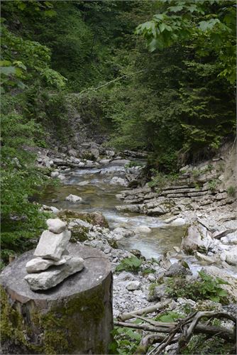 Schöner Bachlauf im Naturerlebnis Glasenbachklamm