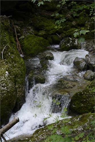 Kleine Wasserfälle im Naturerlebnis Glasenbachklamm