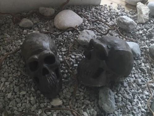 Neandertaler