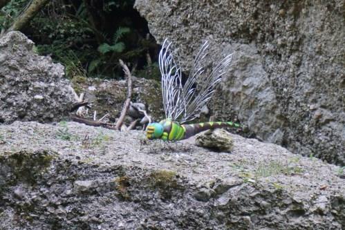 Giant dragonfly