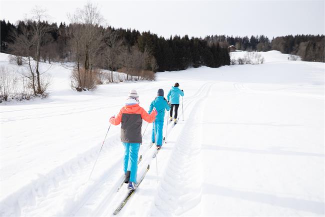 Cross-country ski trail on the Gaisberg