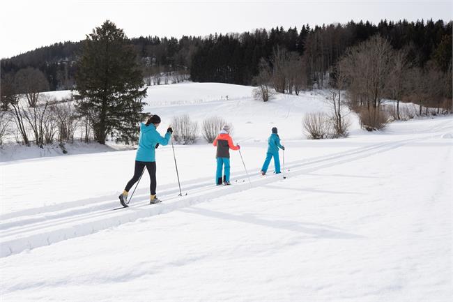 Cross country skiing trails in the surroundings