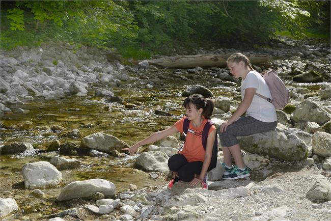 The Glasenbachklamm nature experience