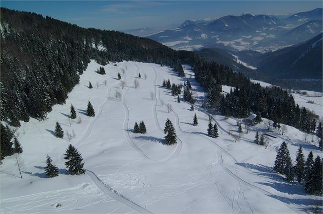 Langlaufen in Elsbethen