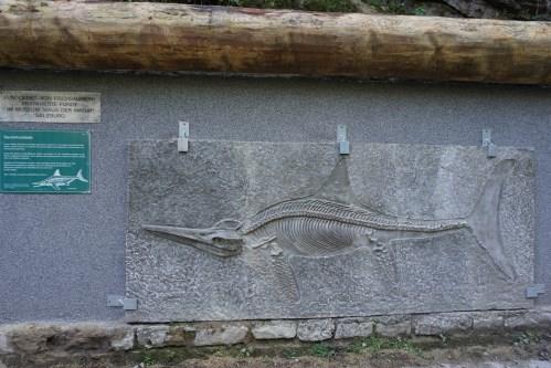 Fischsaurier-Fossil im Haus der Natur, Naturerlebnis Glasenbach